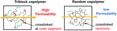 Graphical abstract: Enhancement of CO2 permeability of poly(vinyl ether)s having oxyethylene chains by the sequence control of crosslinking sites