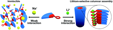 Graphical abstract: Selective lithium ion recognition in self-assembled columnar liquid crystals based on a lithium receptor