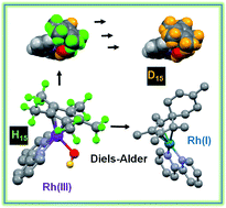 Graphical abstract: New activation mechanism for half-sandwich organometallic anticancer complexes