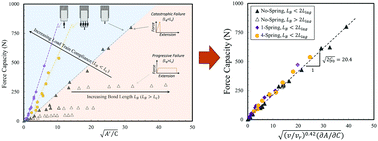 Graphical abstract: Revisiting the generalized scaling law for adhesion: role of compliance and extension to progressive failure
