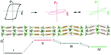 Graphical abstract: Phase equilibria in metastable regime in the (C8H12NO)2[ZnCl4] ferroelectric system