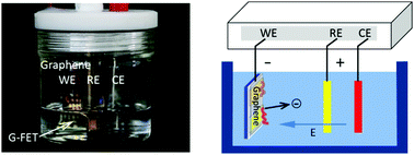 Graphical abstract: Simple and rapid cleaning of graphenes with a ‘bubble-free’ electrochemical treatment
