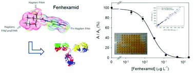 Graphical abstract: Rationally designed haptens for highly sensitive monoclonal antibody-based immunoanalysis of fenhexamid