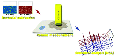 Graphical abstract: Rapid screening of colistin-resistant Escherichia coli, Acinetobacter baumannii and Pseudomonas aeruginosa by the use of Raman spectroscopy and hierarchical cluster analysis