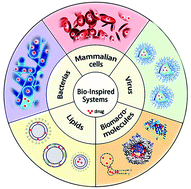 Graphical abstract: Bio-inspired drug delivery systems: an emerging platform for targeted cancer therapy