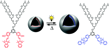 Graphical abstract: Light-fuelled reversible expansion of spiropyran-based vesicles in water