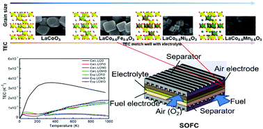 Graphical abstract: An insight into the effects of transition metals on the thermal expansion of complex perovskite compounds: an experimental and density functional theory investigation
