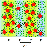 Graphical abstract: Thermodiffusion of repulsive charged nanoparticles – the interplay between single-particle and thermoelectric contributions