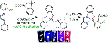 Graphical abstract: Mild and selective Pd–Ar protonolysis and C–H activation promoted by a ligand aryloxide group