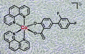 Graphical abstract: Diflunisal-adjoined cobalt(iii)-polypyridyl complexes as anti-cancer stem cell agents