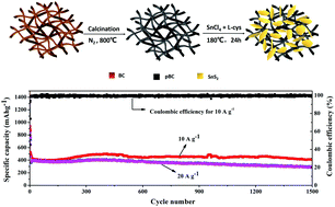 Graphical abstract: Flower-like SnS2 composite with 3D pyrolyzed bacterial cellulose as the anode for lithium-ion batteries with ultralong cycle life and superior rate capability