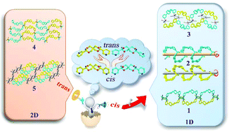 Graphical abstract: Five complexes based on a new racemic tetraoxaspiro ligand: correlation of potential coordination preferences with the structure, magnetic properties and luminescence properties
