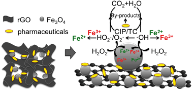 Graphical abstract: Hydrophilic and strengthened 3D reduced graphene oxide/nano-Fe3O4 hybrid hydrogel for enhanced adsorption and catalytic oxidation of typical pharmaceuticals