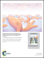 Graphical abstract: Back cover