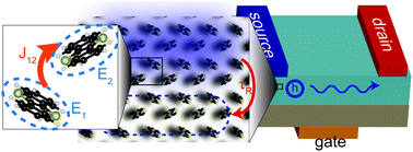 Graphical abstract: Direct probe of the nuclear modes limiting charge mobility in molecular semiconductors