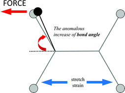 Graphical abstract: Origin of anisotropic negative Poisson's ratio in graphene