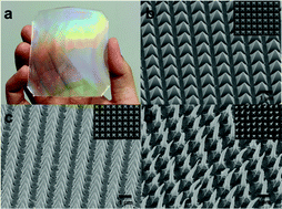 Graphical abstract: Low-cost, flexible, disinfectant-free and regular-array three-dimensional nanopyramid antibacterial films for clinical applications