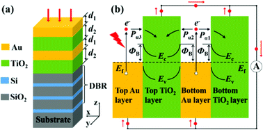 Graphical abstract: Planar dual-cavity hot-electron photodetectors