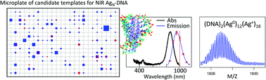 Graphical abstract: High throughput near infrared screening discovers DNA-templated silver clusters with peak fluorescence beyond 950 nm