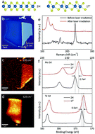 Graphical abstract: Controllable 2H-to-1T′ phase transition in few-layer MoTe2
