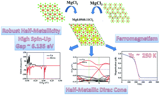 Graphical abstract: Ferromagnetism in magnesium chloride monolayer with an unusually large spin-up gap