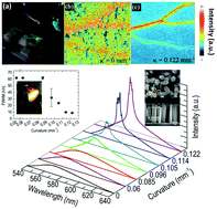 Graphical abstract: A curvature-tunable random laser
