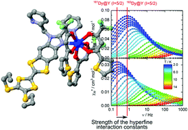 Graphical abstract: Hyperfine coupling and slow magnetic relaxation in isotopically enriched DyIII mononuclear single-molecule magnets