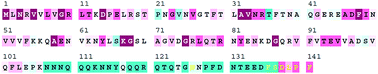Graphical abstract: Characterization of single-stranded DNA-binding protein SsbB from Staphylococcus aureus: SsbB cannot stimulate PriA helicase
