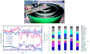 Graphical abstract: Evaluation of performance and microbial community successional patterns in an integrated OCO reactor under ZnO nanoparticle stress