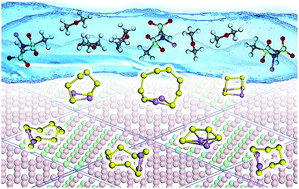 Graphical abstract: Interfacial competition between a borophene-based cathode and electrolyte for the multiple-sulfide immobilization of a lithium sulfur battery