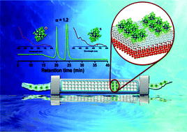 Graphical abstract: Ligand structure and charge state-dependent separation of monolayer protected Au25 clusters using non-aqueous reversed-phase HPLC