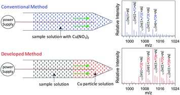 Graphical abstract: Matrix-assisted nanoelectrospray mass spectrometry for soft ionization of metal(i)–protein complexes