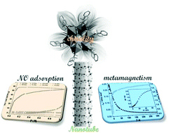 Graphical abstract: Homochiral iron(ii)-based metal–organic nanotubes: metamagnetism and selective nitric oxide adsorption in a confined channel
