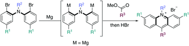 Graphical abstract: Design and application of aminoacridinium organophotoredox catalysts