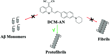 Graphical abstract: A novel near-infrared fluorescent probe for detection of early-stage Aβ protofibrils in Alzheimer's disease