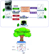 Graphical abstract: A novel one-pot facile economic approach for the mass synthesis of exfoliated multilayered nitrogen-doped graphene-like nanosheets: new insights into the mechanistic study