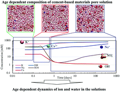 Graphical abstract: The pore solution of cement-based materials: structure and dynamics of water and ions from molecular simulations
