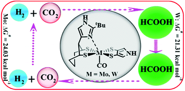 Graphical abstract: Bio-mimetic self-assembled computationally designed catalysts of Mo and W for hydrogenation of CO2/dehydrogenation of HCOOH inspired by the active site of formate dehydrogenase