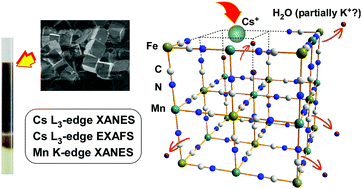 Graphical abstract: An XAFS study of Cs adsorption by the precipitation bands of Mn–Fe-based Prussian blue analogues spontaneously formed in agarose gel