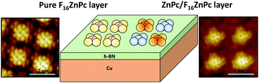 Graphical abstract: Interfacial charge transfer enhancement via formation of binary molecular assemblies on electronically corrugated boron nitride