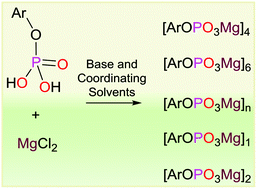 Graphical abstract: Modulation of the nuclearity of molecular Mg(ii)-phosphates: solid-state structural change involving coordinating solvents