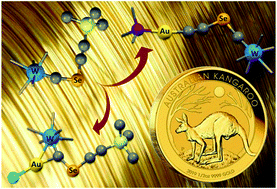 Graphical abstract: Auriferous alkynylselenolatoalkylidynes