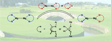 Graphical abstract: Mechanistic insights of anionic ligand exchange and fullerene reduction with magnesium(i) compounds