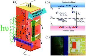 Graphical abstract: Deep levels, charge transport and mixed conductivity in organometallic halide perovskites