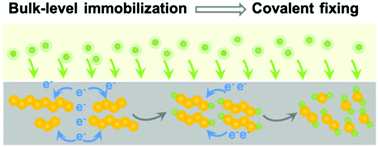 Graphical abstract: Covalent fixing of sulfur in metal–sulfur batteries