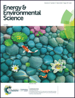 Graphical abstract: Inside front cover