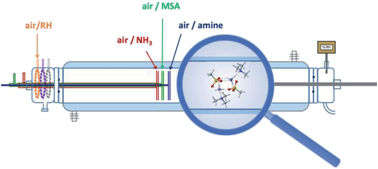 Graphical abstract: Integrated experimental and theoretical approach to probe the synergistic effect of ammonia in methanesulfonic acid reactions with small alkylamines