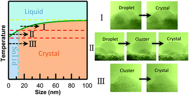Graphical abstract: Atomic-scale dynamic observation reveals temperature-dependent multistep nucleation pathways in crystallization