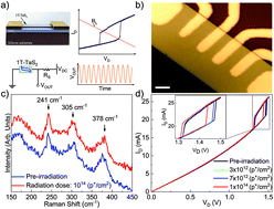 Graphical abstract: Proton-irradiation-immune electronics implemented with two-dimensional charge-density-wave devices