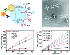 Graphical abstract: Promoting photocatalytic nitrogen fixation with alkali metal cations and plasmonic nanocrystals